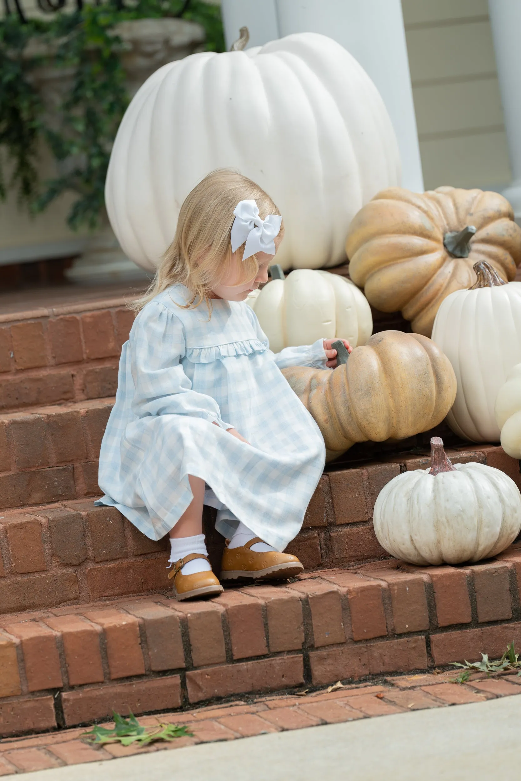 Alicia Soft Blue Check Dress